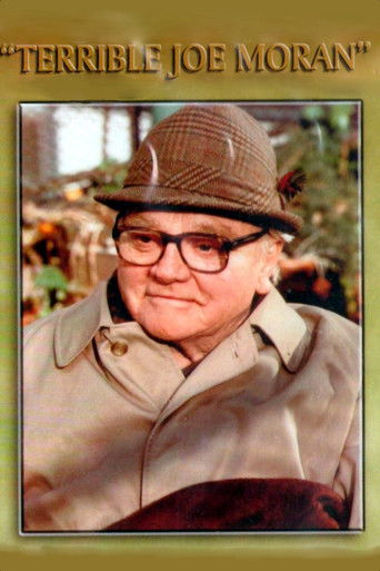 Terrible Joe Moran poster