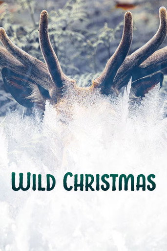 Movie poster for Wild Christmas (2020)