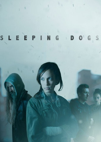Movie poster for Sleeping Dogs (2013)