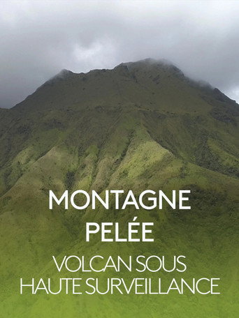 Movie poster for Montagne Pelée, volcan sous haute surveillance (2019)
