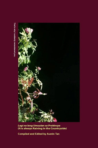 Movie poster for It Is Always Raining in the Countryside (2023)