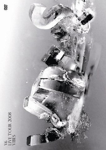 V6 LIVE TOUR 2008 VIBES poster