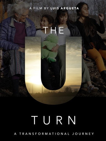 Movie poster for The U Turn (2016)