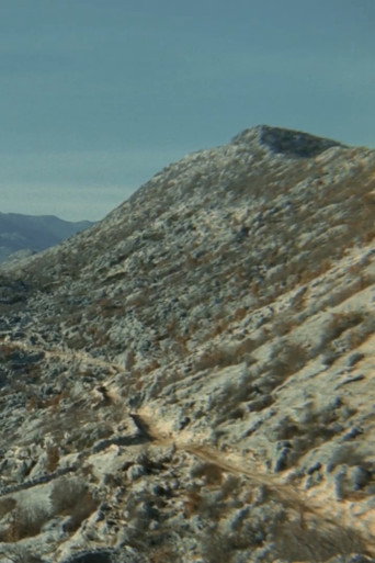 Movie poster for The Road (1977)