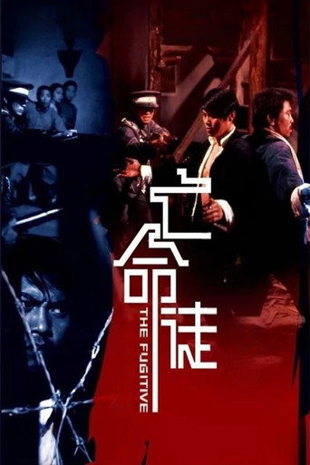 Movie poster for The Fugitive (1972)