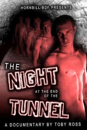 Movie poster for The Night at the End of the Tunnel (2011)