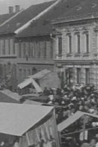 Movie poster for The Ljutomer Fair (1905)