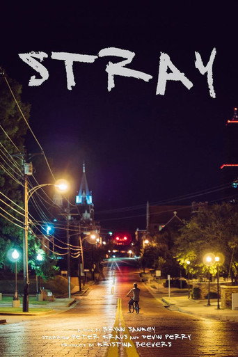 Movie poster for Stray (2015)