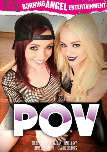 Movie poster for All Access P.O.V. (2017)