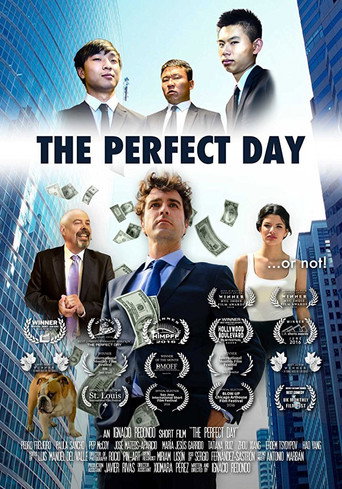 Movie poster for The Perfect Day (2017)