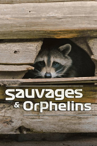 Sauvages et orphelins poster