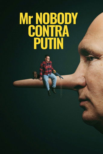 Mr. Nobody Against Putin poster