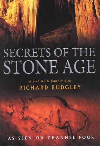 Secrets of the Stone Age poster