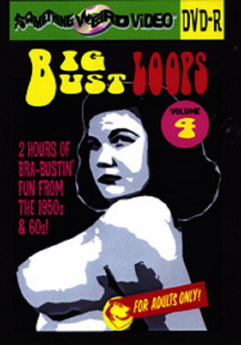 Movie poster for Big Bust Loops Volume 4 (2009)