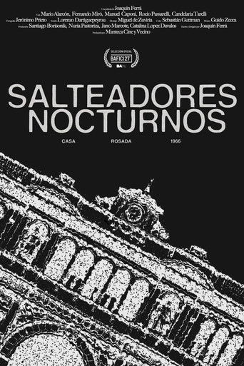 Salteadores Nocturnos poster