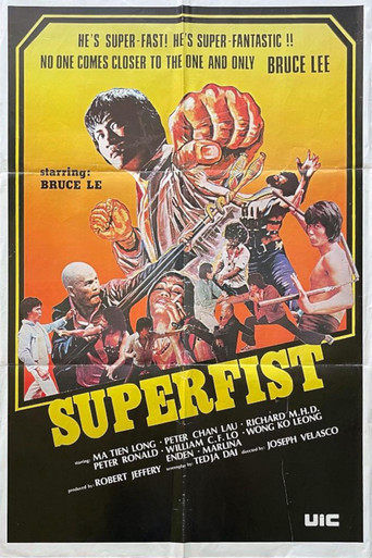 Movie poster for Superfist (1976)
