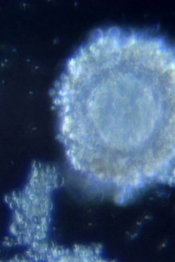 Movie poster for Fertilization in Video (1991)