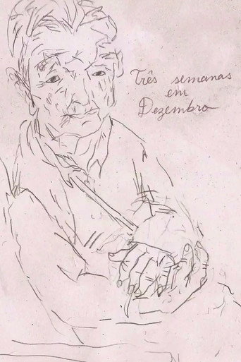 Movie poster for Três Semanas em Dezembro (2013)