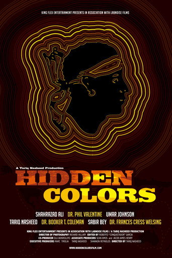 Movie poster for Hidden Colors (2011)