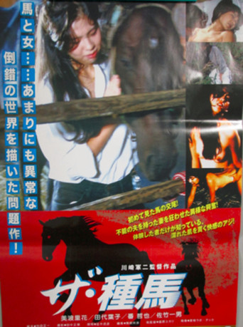 Movie poster for The Stallion (1986)