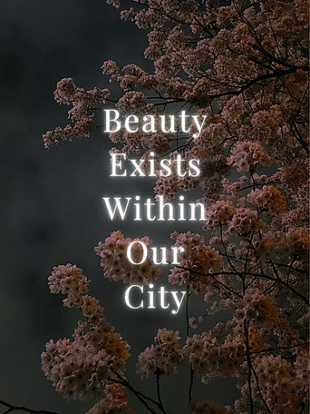 Movie poster for Beauty Exists Within Our City (2024)