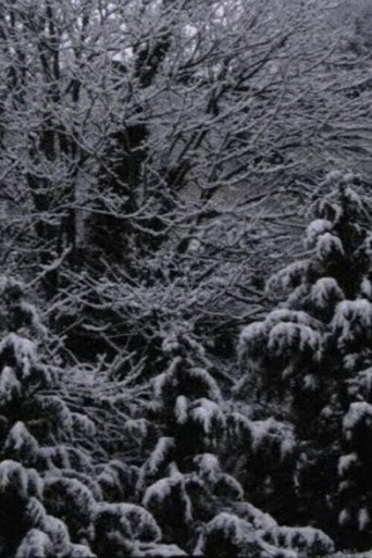 Movie poster for Snow Film (2019)