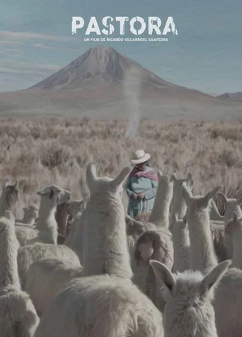 Movie poster for Andean Sheperdess (2016)
