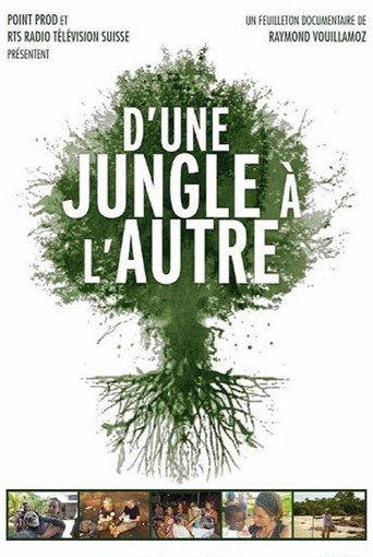 Movie poster for D’une jungle à l’autre (2012)