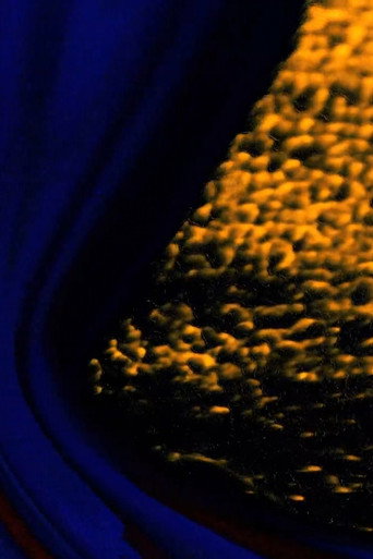 Movie poster for Pangloss (2015)