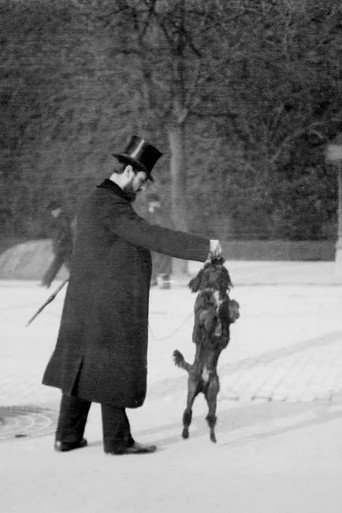 Movie poster for Chien Caniche Noir Sautant (1897)