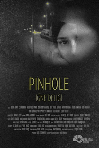 Movie poster for Pinhole (2015)