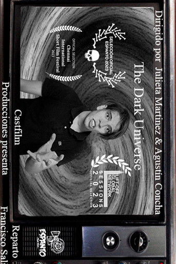 The Dark Universe poster