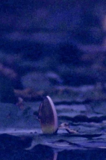 Movie poster for Giverny's Cusp (2019)