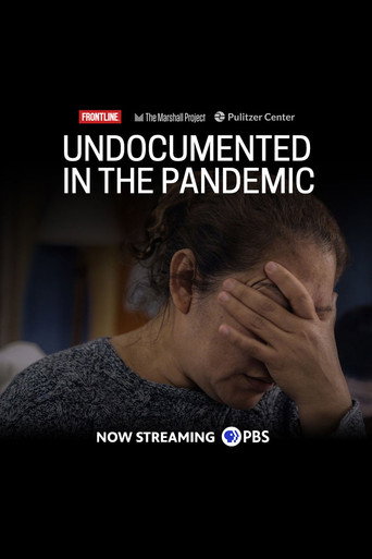 Movie poster for Undocumented in the Pandemic (2020)
