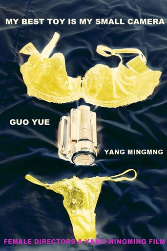 Movie poster for Female Directors (2012)