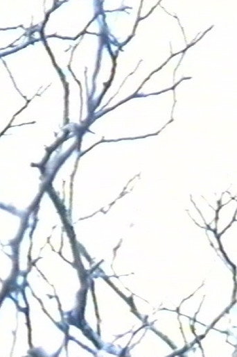 Movie poster for Stereo #0 - 30 drones for television - Drone 15 (2000)