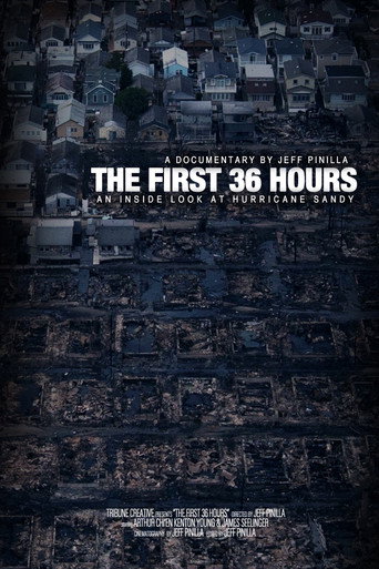 Movie poster for The First 36 hours: An Inside Look at Hurricane Sandy (2011)