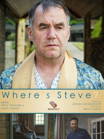 Movie poster for Where's Steve? (2020)