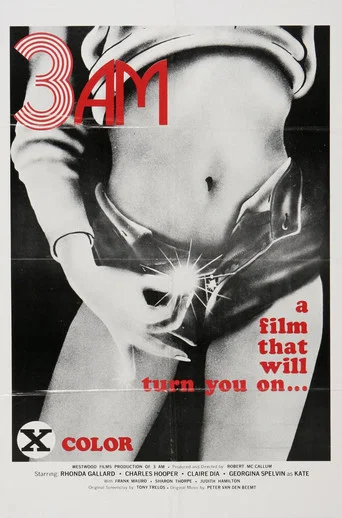 Movie poster for 3 A.M. (1975)