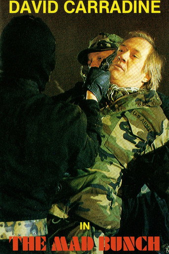 The Mad Bunch poster