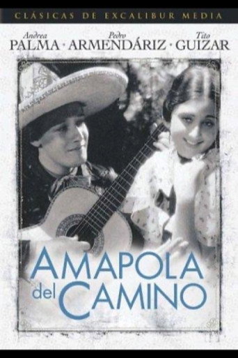Movie poster for Amapola Del Camino (1937)