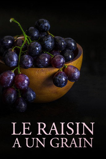 Movie poster for Le raisin a un grain (2023)