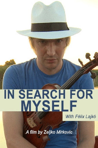 Movie poster for Lajko Felix: In Search for Myself (2014)