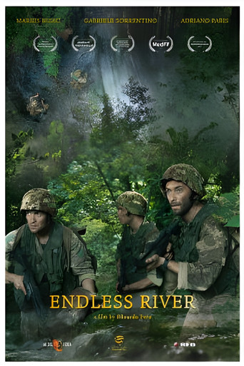 Endless River poster