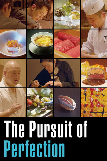 Movie poster for The Pursuit of Perfection (2024)