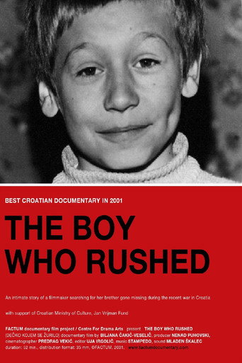 Movie poster for The Boy Who Rushed (2002)