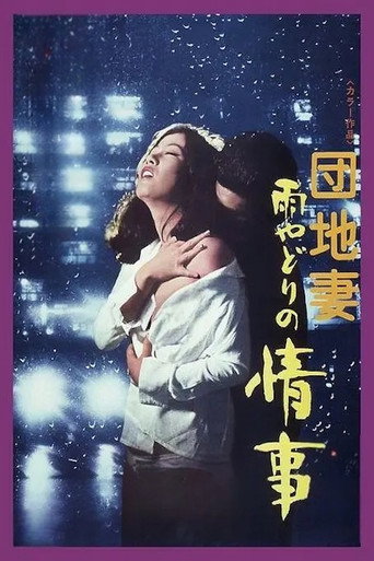 Movie poster for A Rainy Night Affair (1973)