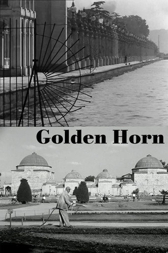 Movie poster for Golden Horn (1964)