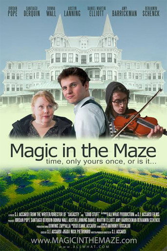 Movie poster for Magic in the Maze