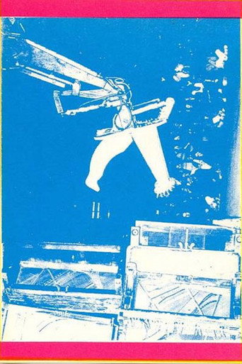 Movie poster for Illusions of Shameless Abundance (1989)